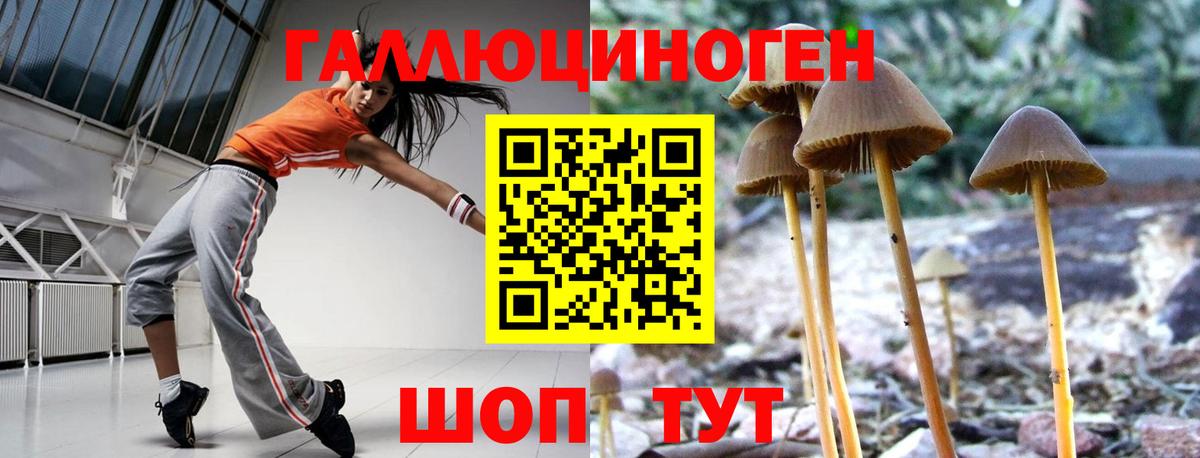 Галлюциногенные грибы мухоморы Миллерово